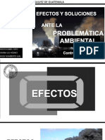 Efectos de La Problematica Ambiental