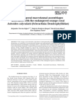 Spatio-Temporal Macrofaunal Assemblages Associated With The Endangered Orange Coral Astroides Calycularis (Scleractinia: Dendrophylliidae)