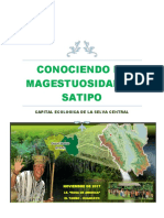 conociendo la magestuosidad de satipo.docx