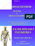 3.1 Miembro Inferior Huesos y Articulaciones.ppt