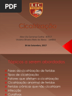 Cicatrização LIC 