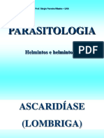 Ascaridíase