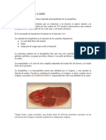 pigmentos-de-la-carne.pdf