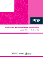 Marco de  referencia razonamiento cuantitativo.pdf