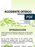 Accidente Ofidico