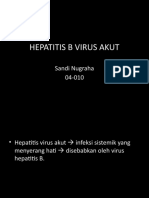 Hepatitis B Virus Akut Sandi