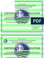 Certificate CENRO
