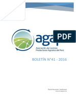 boletin-agap-41