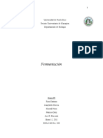 informe-escrito-fermentacic3b3n-mejorado.doc