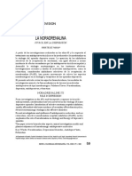LA NORADRENALINA ROL DEPRESION.pdf