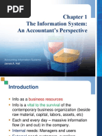 The Information System: An Accountant's Perspective