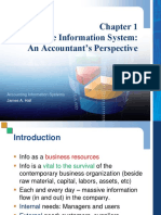 The Information System: An Accountant's Perspective