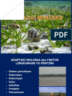2 Ekologi Moluska