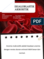 KLP 4 Anemia Megaloblastik