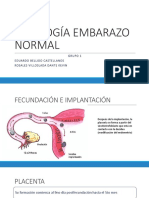 Fisiología Embarazo Normal