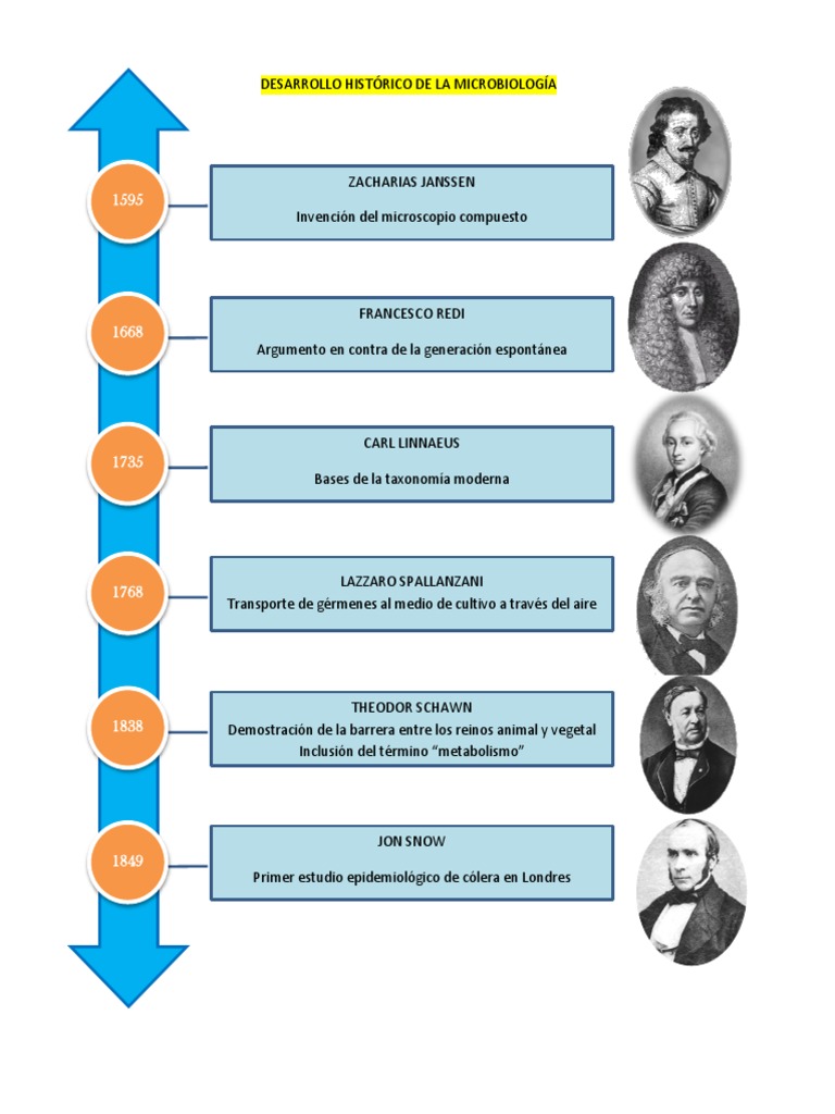 Linea Del Tiempo Virus Patologia clinica