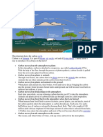 The Carbon Cycle.docx