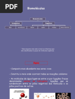 biomoléculas