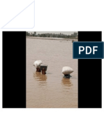 Recent Pakistan Flood Pictures