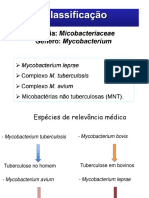 Tuberculose Aula 01 06