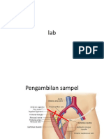 lab.pptx