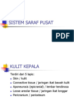 Sistem Saraf Pusat