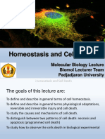 Edited Homeostatis and Death Cell