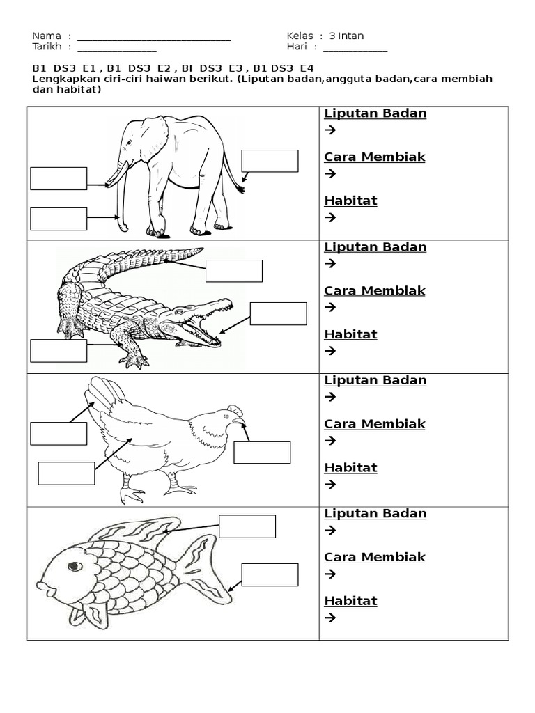 Ciri-Ciri Haiwan Tahun 3  PDF