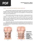 Anatomia - Fígado, Vias Biliares Extra-hepaticas, Pancreas e Baço