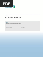 Abstract and Numerical Assessment Report