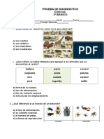 Ciencias Diagnostico