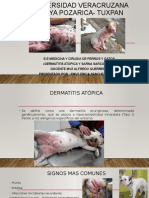 Dermatitis Atopica y Sarna Sarcoptica