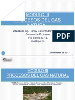 Proceso-de-Gas-Natural-y-Plantas.pdf