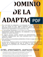 adaptacion