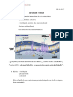 biocel curs2.docx