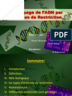 Découpage L’ADN Par Les Enzymes de Restriction