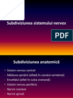 Neuroanatomie. C1