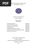 Download Laporan Praktikum Farmakognosi Alkaloid by Dion Abimanyu SN363889814 doc pdf