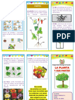 Triptico Las Plantas