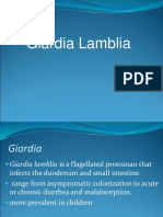 Giardia Lamblia