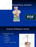 Gi System