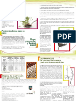 Folleto germinados.pdf