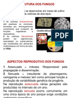 Apresentação 2 Reprodução ATUALIZADO PDF