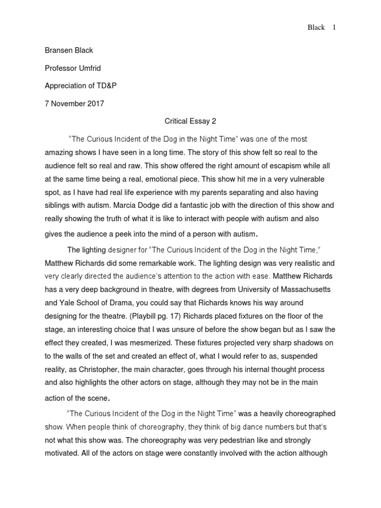 Business paper: An amusing incident essay