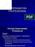 1 Keperawatan Professional