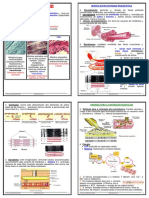 Tecido muscular.pdf