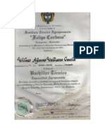 Diploma Wilmer