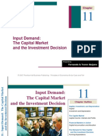 Input Demand: The Capital Market and The Investment Decision