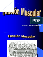 Función Muscular