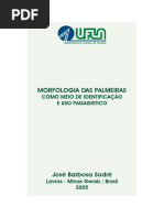 Morfologia das Palmeiras.pdf